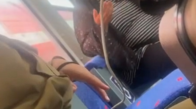 העימות בין האישה לחיילות ברכבת (צילום: צילום מסך מתוך הפייסבוק של מיטל דהן ויצמן)