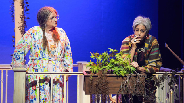 “השותפה” של הקאמרי  (צילום: באדיבות תיאטרון הקאמרי)