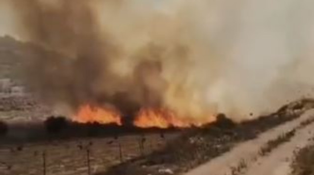 שריפת ענק בשומרון (צילום: רשתות חברתיות, שימוש לפי סעיף 27 א')