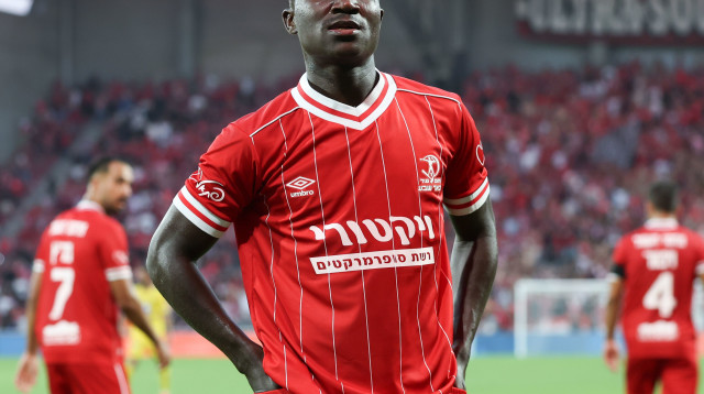 קינגס קאנגווה (צילום: Getty images)