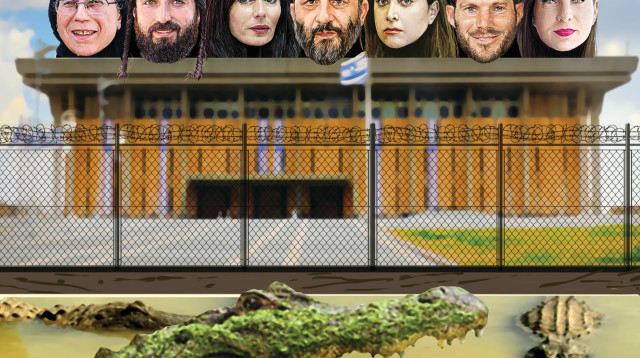 תפוס אותו, קושקוש (צילום: איור: אורי אינקס)