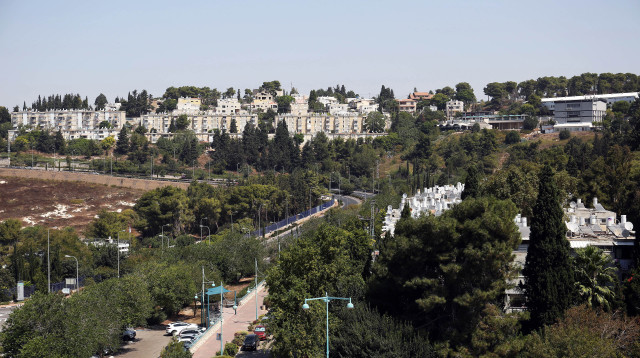 נוף הגליל (צילום: אריאל בשור)
