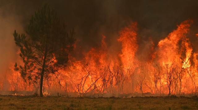 שריפה בבורדו (צילום: gettyimages)