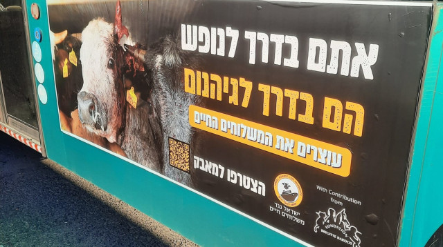 הקמפיין החדש של "ישראל נגד משלוחים חיים" בתמיכת בריז'יט בארדו (צילום: ישראל נגד משלוחים חיים)