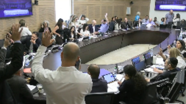 הדיון בוועדת הכספים (צילום: צילום מסך מערוץ הכנסת)