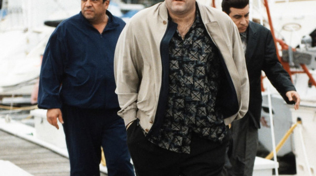 הסופרנוס  (צילום: HBO)
