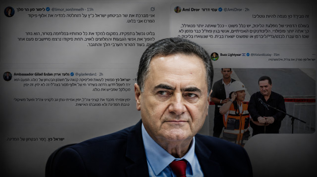 ישראל כץ והציוצים (צילום: צילום מסך,יונתן זינדל, פלאש 90)