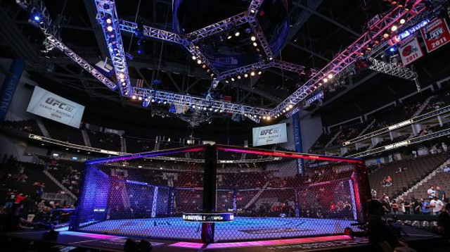 UFC, אוקטגון. אילוסטרציה (צילום: Alex Menendez)