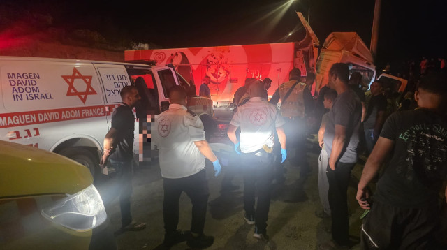 צוותי מד"א בזירת התאונה בכביש 80, סמוך לתל ערד (צילום: תיעוד מבצעי מד"א)