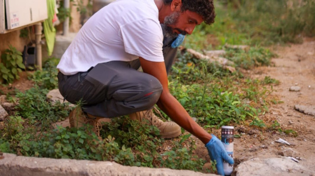 מבצע הדברה ברמת גן (צילום: דוברות העירייה)
