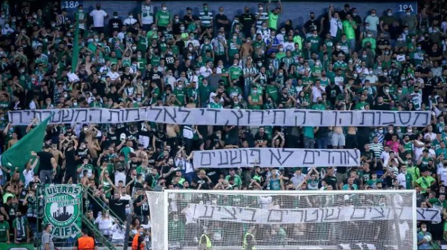  (צילום: מאור אלקסלסי)