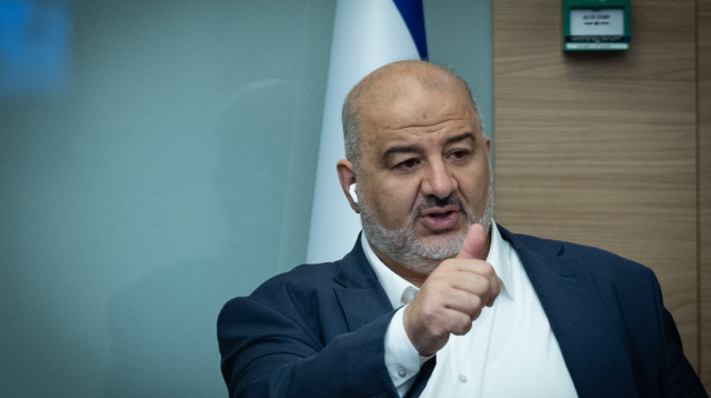 מנסור עבאס (צילום: יונתן זינדל פלאש 90)