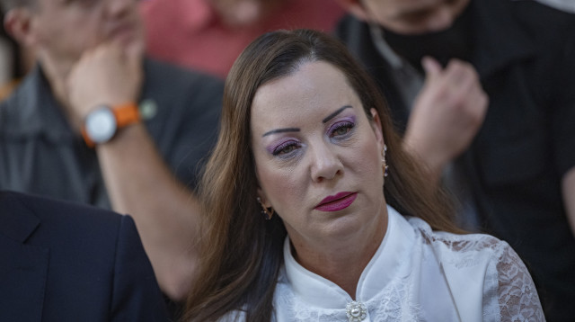 טלי גוטליב (צילום: חיים גולדברג, פלאש 90)