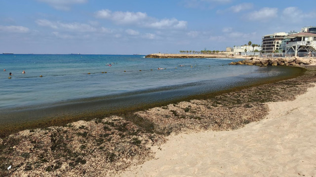 חוף בת גלים (צילום: רפי בן חקון)