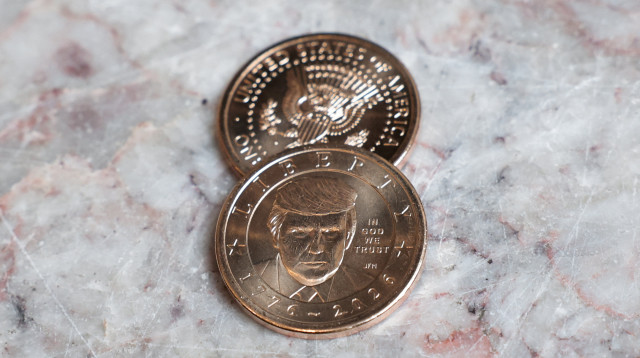 מטבע דונאלד טראמפ (צילום: REUTERS/Kylie Cooper/Illustration)
