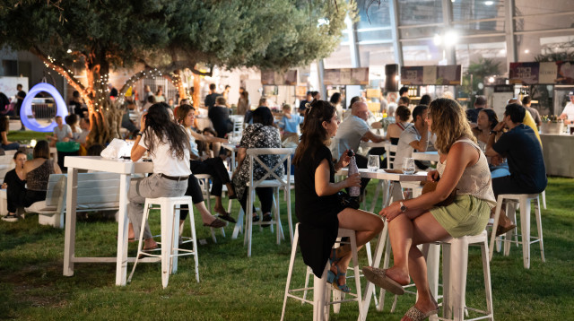 פסטיבל הייין 2025 (צילום: מיקי לנגנטל רקורד הפקות)