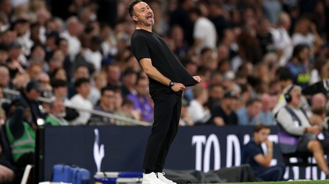 רוברטו דה זרבי מאמן טוטנהאם (צילום: Getty Images Sport)