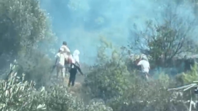 אלימות מתנחלים (צילום: צילום מסך,שימוש לפי סעיף 27א')