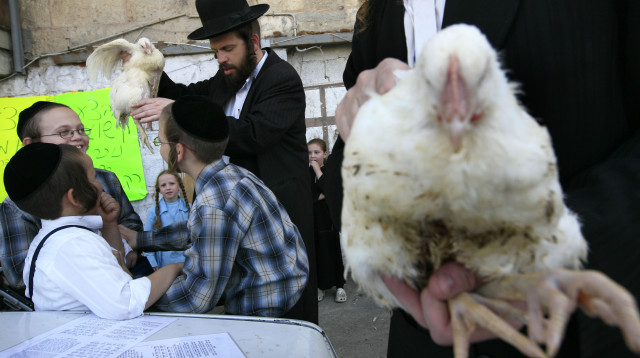מנהג הכפרות (צילום: Nati Shohat/Flash90)
