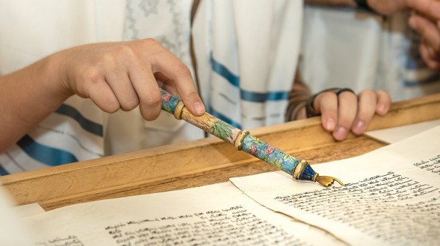 תמונה לטור של כרמית (צילום: יהב גמליאל פלאש 90)