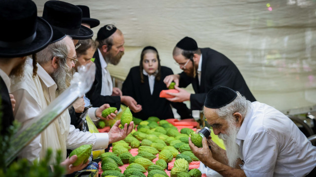 שוק ארבעת המינים (צילום: חיים גולדברג פלאש 90)