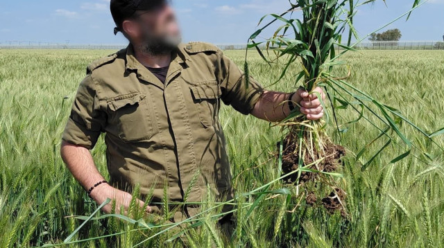 פלוגת המילואימניקים (צילום: דובר צה"ל)