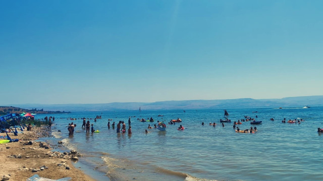 חופי הכינרת (צילום: מיכאל קרופצקי, איגוד ערים כינרת)