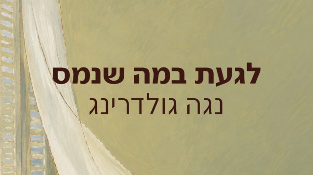 "לגעת במה שנמס" / נגה גולדרינג (צילום: יצירה עברית)