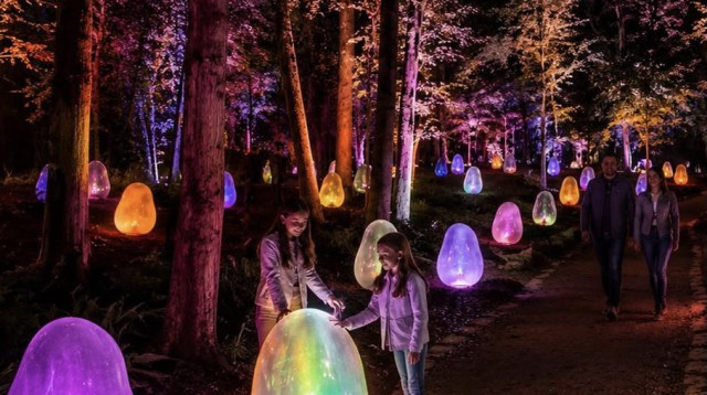 LUMAGICA TEL AVIV (צילום: MK illumination)