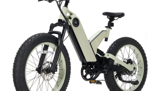 אופניים חשמליים חדשים בסדרת RIDER P  (צילום: יחצ)