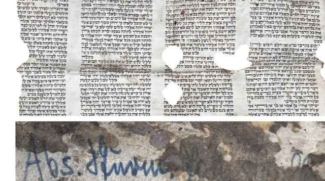 הקטע מספר התורה שנבזז (צילום: אתר המכירות הפומביות Valkyrie Historical Auctions)