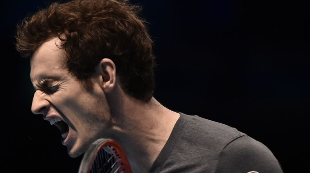 אנדי מארי חוגג נקודה מול מילוש ראוניץ' בטורניר המאסטרס בפאריס (צילום: רויטרס)