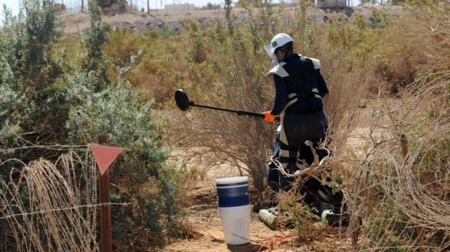 פינוי מוקשים (צילום: משרד הביטחון)