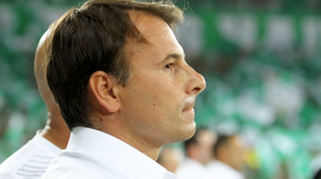 מאמן מכבי חיפה אלכסנדר סטנויביץ' (צילום: ערן לוף)