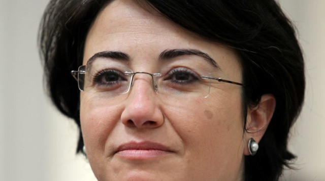 חנין זועבי (צילום: מרק ישראל סלם)