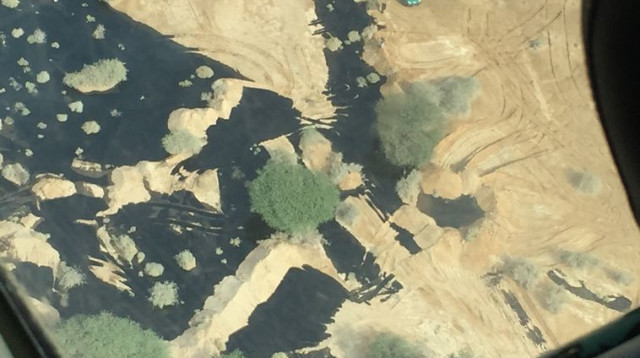 דליפת הנפט בשמורת הטבע עברונה (צילום: המשרד להגנת הסביבה)