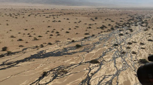 דליפת הנפט בעברונה (צילום: המשרד להגנת הסביבה)