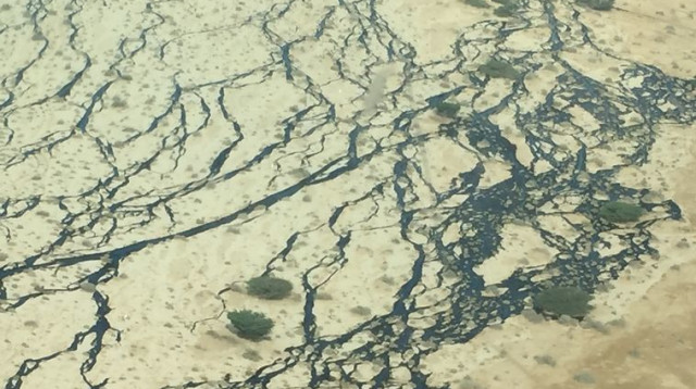 דליפת הנפט בשמורת עברונה (צילום: המשרד להגנת הסביבה)