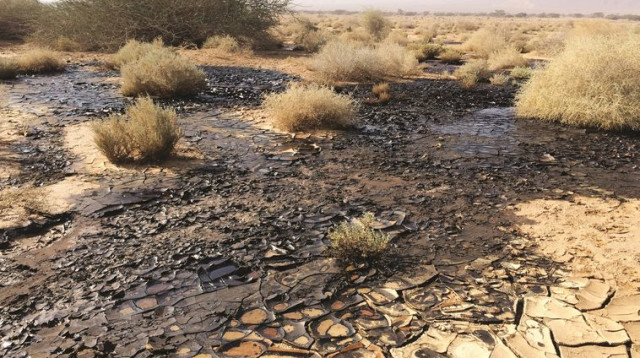 אסון הנפט בדרום, ארכיון (צילום: שחר איסחרוב, המשרד להגנת הסביבה)