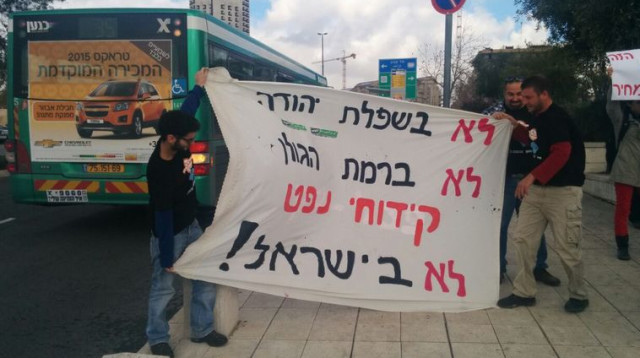 מפגינים נגד קידוחי נפט ברמת הגולן מול ביהמ"ש העליון (צילום: מגמה ירוקה)