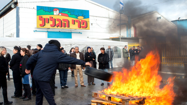 פרי הגליל (צילום: פלאש 90)