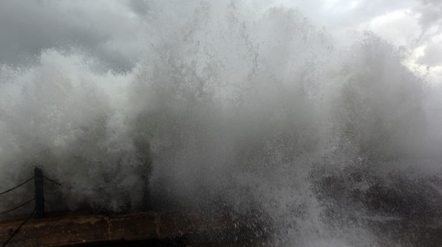 סערה בנמל יפו (צילום: אריאל בשור)