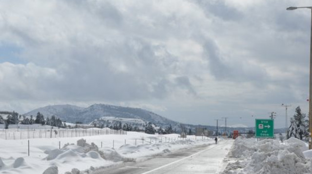 שלג במהלך הסערה (צילום: גיא שלומקוביץ)