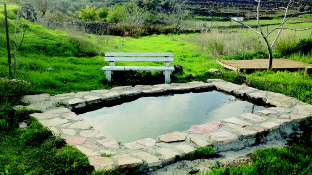 הבריכה במעיין מאיר (צילום: מיטל שרעבי)