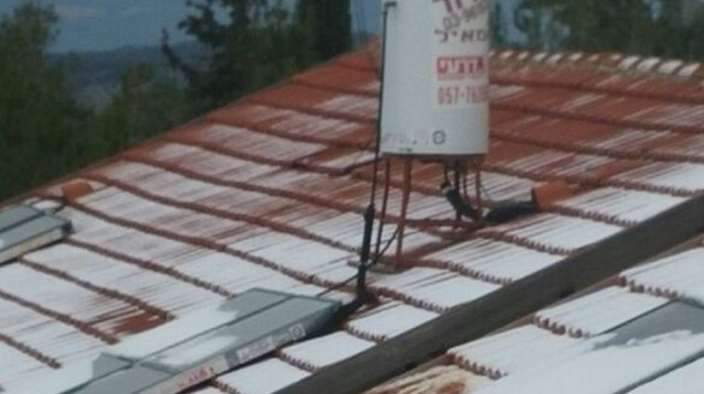 דוד שמש נוזל בצפון בגלל השלג (צילום: נועם אמיר)