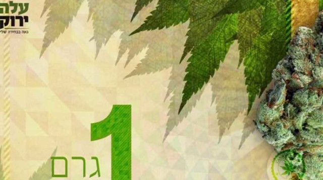 שטר הקנאביס של עלה ירוק (צילום: יוטיוב)