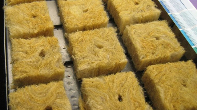 צמר סלעים (צילום: "Rockwool cubes-inlay PNr°0091" מאת D-Kuru - נוצר על ידי מעלה היצירה. מתפרסם לפי רישיון CC BY-SA 3.0)