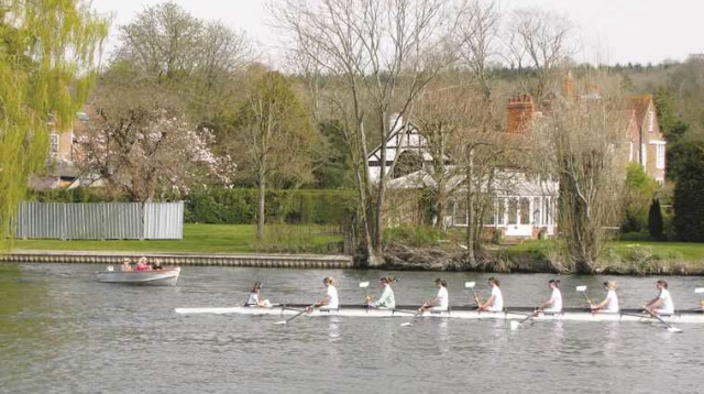 הנלי און תמז (צילום: תלמה אדמון)