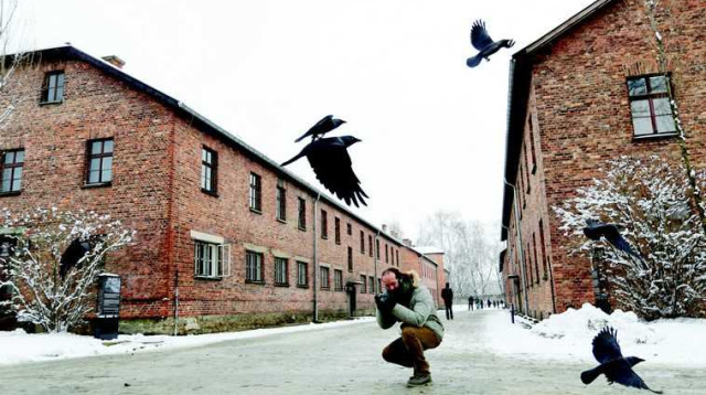 מחנה ההשמדה אושוויץ (צילום: רויטרס)