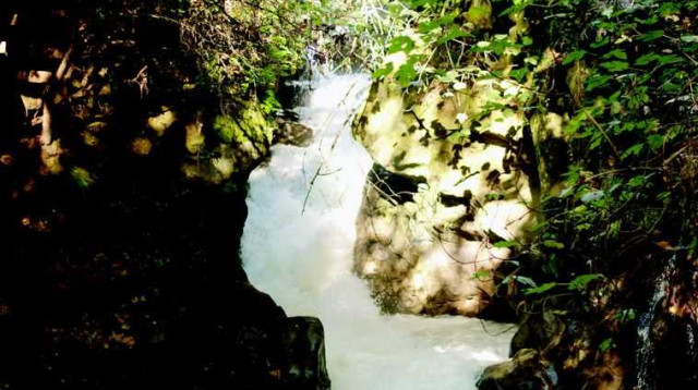 נחל הבניאס השוצף (צילום: הדר יהב)